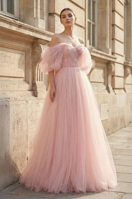 Pink Tulle Floor Length Prom Dress. Cute A-Line Evening Party Dress