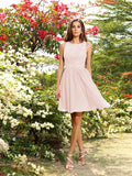 A-Line/Princess Bateau Applique Sleeveless Short/Mini Chiffon Bridesmaid Dresses Homecoming Prom Dress