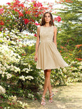 A-Line/Princess Bateau Applique Sleeveless Short/Mini Chiffon Bridesmaid Dresses Homecoming Prom Dress