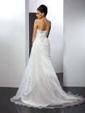 A-Linie/Princess-Linie Herzausschnitt Applikationen Ärmellos Lange Organza Brautkleider