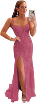 Desert Rose