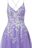 Aline Short Glitter Tulle Homecoming Dress with Appliques