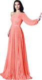 One Shoulder Mother of The Bride Dresses Long Sleeve Formal Dress Chiffon Evening Gowns for Women