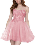 Tulle Homecoming Dresses Short Wedding Dresses 2026 Spaghetti Strap Prom Dress A Line Lace Applique Formal Party Gown