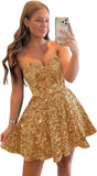 Sequin Short Homecoming Dresses for Teens Sparkly A Line Prom Dress Tight Cocktail Dresses Evening Gown with Pocket