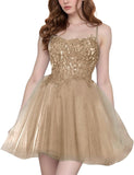 Tulle Homecoming Dresses Short Wedding Dresses 2027 Spaghetti Strap Prom Dress A Line Lace Applique Formal Party Gown