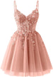 Blush Pink