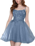 Tulle Homecoming Dresses Short Wedding Dresses 2027 Spaghetti Strap Prom Dress A Line Lace Applique Formal Party Gown