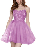 Tulle Homecoming Dresses Short Wedding Dresses 2027 Spaghetti Strap Prom Dress A Line Lace Applique Formal Party Gown