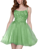 Tulle Homecoming Dresses Short Wedding Dresses 2026 Spaghetti Strap Prom Dress A Line Lace Applique Formal Party Gown