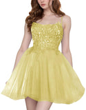 Tulle Homecoming Dresses Short Wedding Dresses 2026 Spaghetti Strap Prom Dress A Line Lace Applique Formal Party Gown