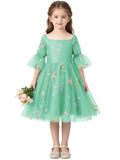 Floral Embroidery Flower Girl Dress Puff Sleeve Birthday Party Gown Girls Tulle A-Line Short Wedding Guests Dresses