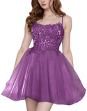 Tulle Homecoming Dresses Short Wedding Dresses 2027 Spaghetti Strap Prom Dress A Line Lace Applique Formal Party Gown