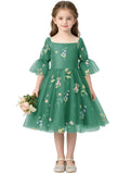 Floral Embroidery Flower Girl Dress Puff Sleeve Birthday Party Gown Girls Tulle A-Line Short Wedding Guests Dresses