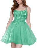 Tulle Homecoming Dresses Short Wedding Dresses 2026 Spaghetti Strap Prom Dress A Line Lace Applique Formal Party Gown