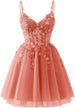 Light Coral