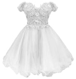 Elegant Tulle Short Homecoming Dresses Lace Butterfly Off Shoulder Floral Mini Dresses A Line Backless Cocktail Dress