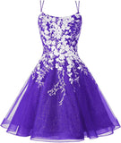 Sparkly Lace Applique Homecoming Dresses for Teens Short Corset Tulle Spaghetti Strap Prom Cocktail Party Dress