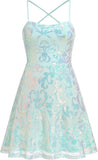 Women's Spaghetti Straps Sparkly Sequins A Line Swing Party Nightclub Dance Mini Dress Above Knee Length