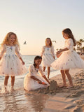 Floral Embroidery Flower Girl Dress Puff Sleeve Birthday Party Gown Girls Tulle A-Line Short Wedding Guests Dresses