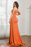 One Shoulder Satin Formal Evening Dresses with Long Sleeves Ruched Prom Party Dress Gowns