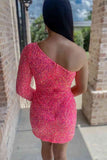 Sky Blue Sheath Long Sleeve Fringe Sequins Mini Party Dresses