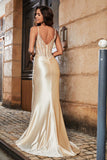 Spaghetti Straps High Slit Sheath Formal Evening Gown Prom Party Dresses