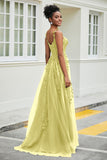 A-Linie Tüll Ballkleid mit Applikationen und Schleppe, mit Schlitz, formelle Abendkleider