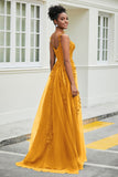 A-Linie Tüll Ballkleid mit Applikationen und Schleppe, mit Schlitz, formelle Abendkleider