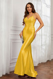 Spaghetti Straps Applique Mermaid Satin Sweep Train Formal Evening Gown Prom Party Dresses