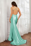 Spaghetti Straps Applique Mermaid Satin Sweep Train Formal Evening Gown Prom Party Dresses