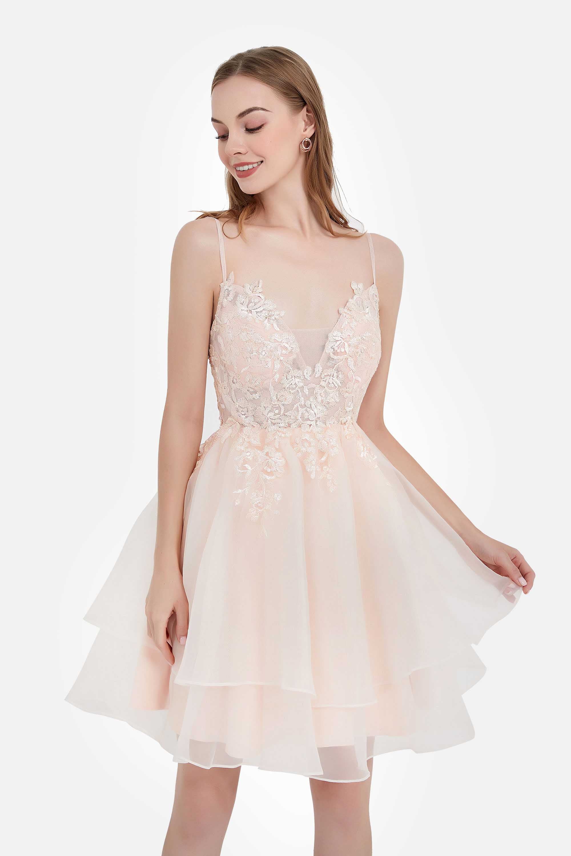 Spaghetti Straps See-through Applique Short Princess Dress Organza Homecoming Prom Dresses