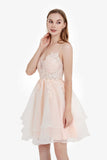 Spaghetti Straps See-through Applique Short Princess Dress Organza Homecoming Prom Dresses