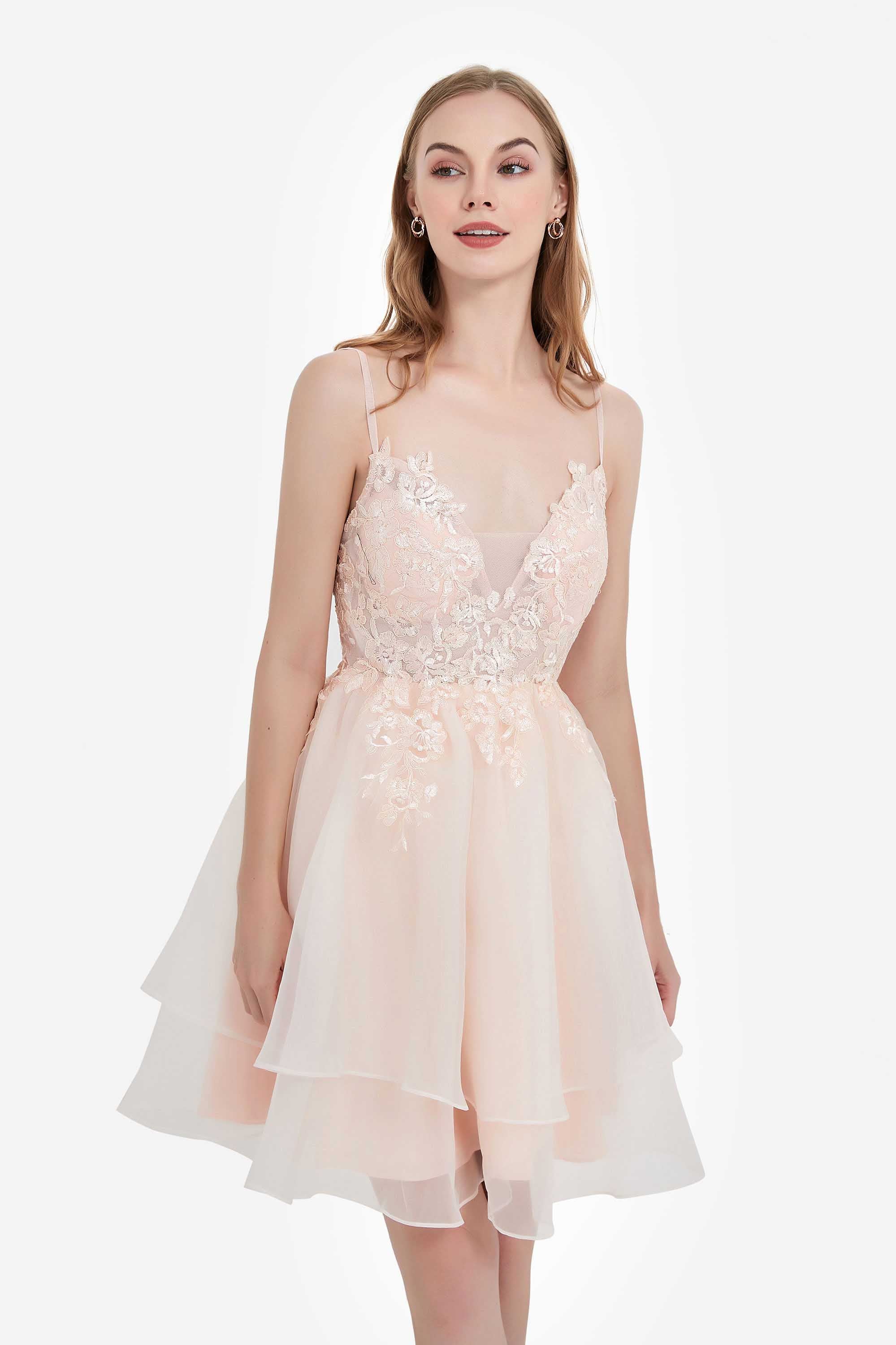 Spaghetti Straps See-through Applique Short Princess Dress Organza Homecoming Prom Dresses
