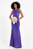 Bodycon Velvet Formal Evening Dress Sleeveless Pleated Sheath Women's Party Gowns Dresses