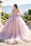 Pink Ball-Gown Tulle Long-Sleeve Quinceanera Dress