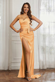 Elegance Satin Spaghetti Straps Mermaid Formal Evening Dresses Prom Party Gowns