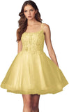 Kurzes Homecoming-Kleid mit Spitzenapplikationen aus Tüll für Teenager mit Spaghettiträgern, Cocktail-, Abschlussball- und Partykleider 