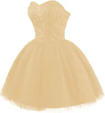Strapless Short Tulle Homecoming Dresses for Teens Lace Prom Dresses for Women Beaded A Line Party Cocktail Dresses