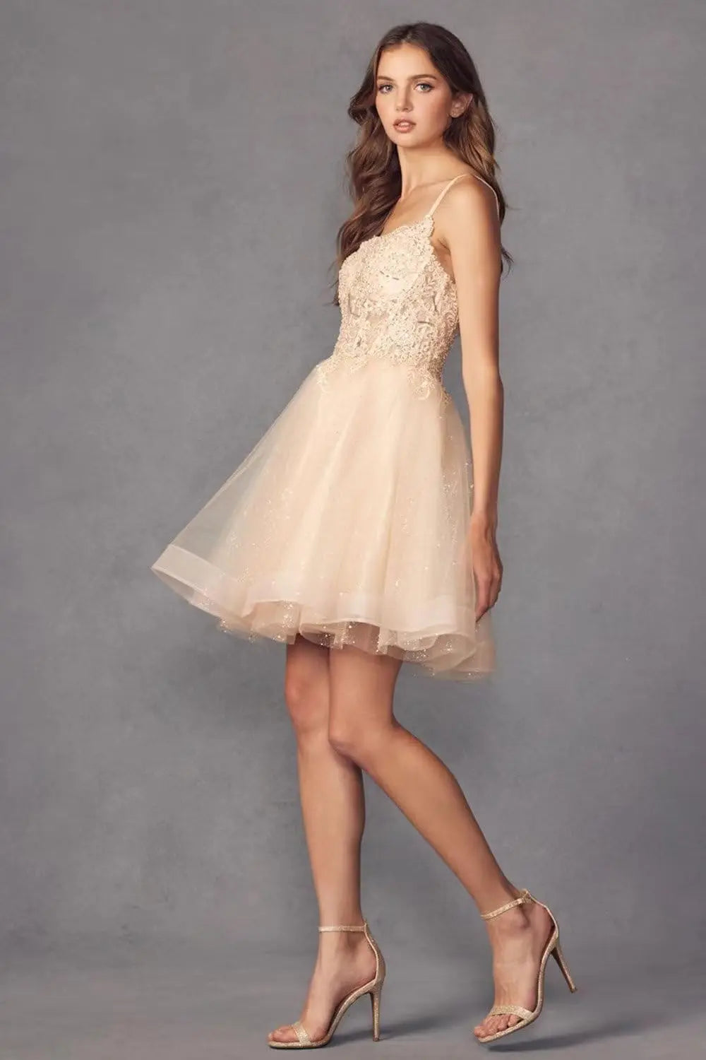 Kurzes Homecoming-Kleid mit Spitzenapplikationen aus Tüll für Teenager mit Spaghettiträgern, Cocktail-, Abschlussball- und Partykleider 