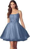 Kurzes Homecoming-Kleid mit Spitzenapplikationen aus Tüll für Teenager mit Spaghettiträgern, Cocktail-, Abschlussball- und Partykleider 