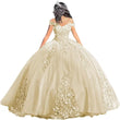 Luxury Off Shoulder Quinceanera Dresses Puffy Floral Lace Beaded Prom Dresses Sweet 15 16 Ball Gown with Train Quinceanera Gowns