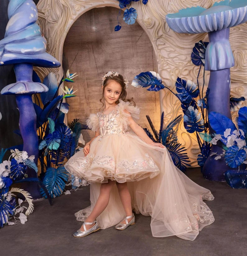 Flower girl Tulle Lace dress Cappucino First communion dress Junior bridesmaid dresses princess girls party ball gown