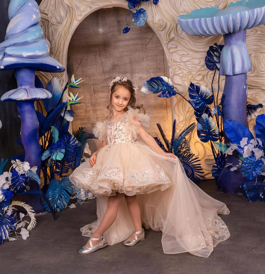 Flower girl Tulle Lace dress Cappucino First communion dress Junior bridesmaid dresses princess girls party ball gown