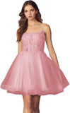 Kurzes Homecoming-Kleid mit Spitzenapplikationen aus Tüll für Teenager mit Spaghettiträgern, Cocktail-, Abschlussball- und Partykleider 