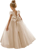 Flower Girls Lace Cap Sleeve Dress for Wedding Puffy Tulle Back V-Neck Pageant Prom Ball Gown with Bow princess dress