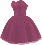 Strapless Short Tulle Homecoming Dresses for Teens Lace Prom Dresses for Women Beaded A Line Party Cocktail Dresses