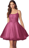 Kurzes Homecoming-Kleid mit Spitzenapplikationen aus Tüll für Teenager mit Spaghettiträgern, Cocktail-, Abschlussball- und Partykleider 