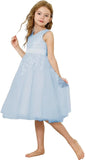 Lace Flower Girl Dresses for Wedding Kids Puffy Tulle Communion Dress Pageant Party Prom Ball Gowns with Bow Knot