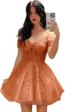 Hübsches kurzes Heimkehrkleid mit Spitzenapplikation für Teenager, glitzernder Tüll, schulterfrei, formelles Abschlussball-Cocktailkleid, Clubkleid 